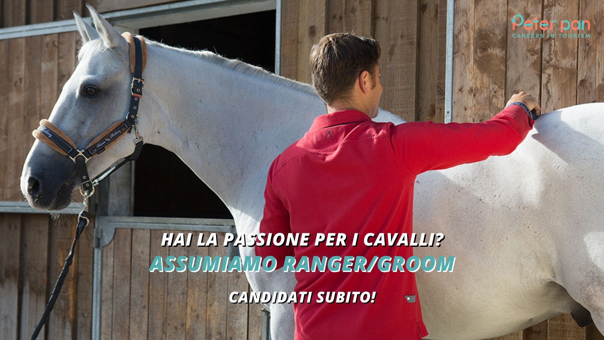 Passione per i Cavalli? Assumiamo Ranger/Groom in Sardegna